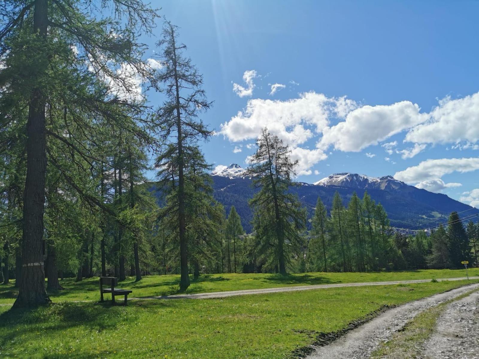 Tiroler Alpblick Appartements Ehrwald Exteriör bild