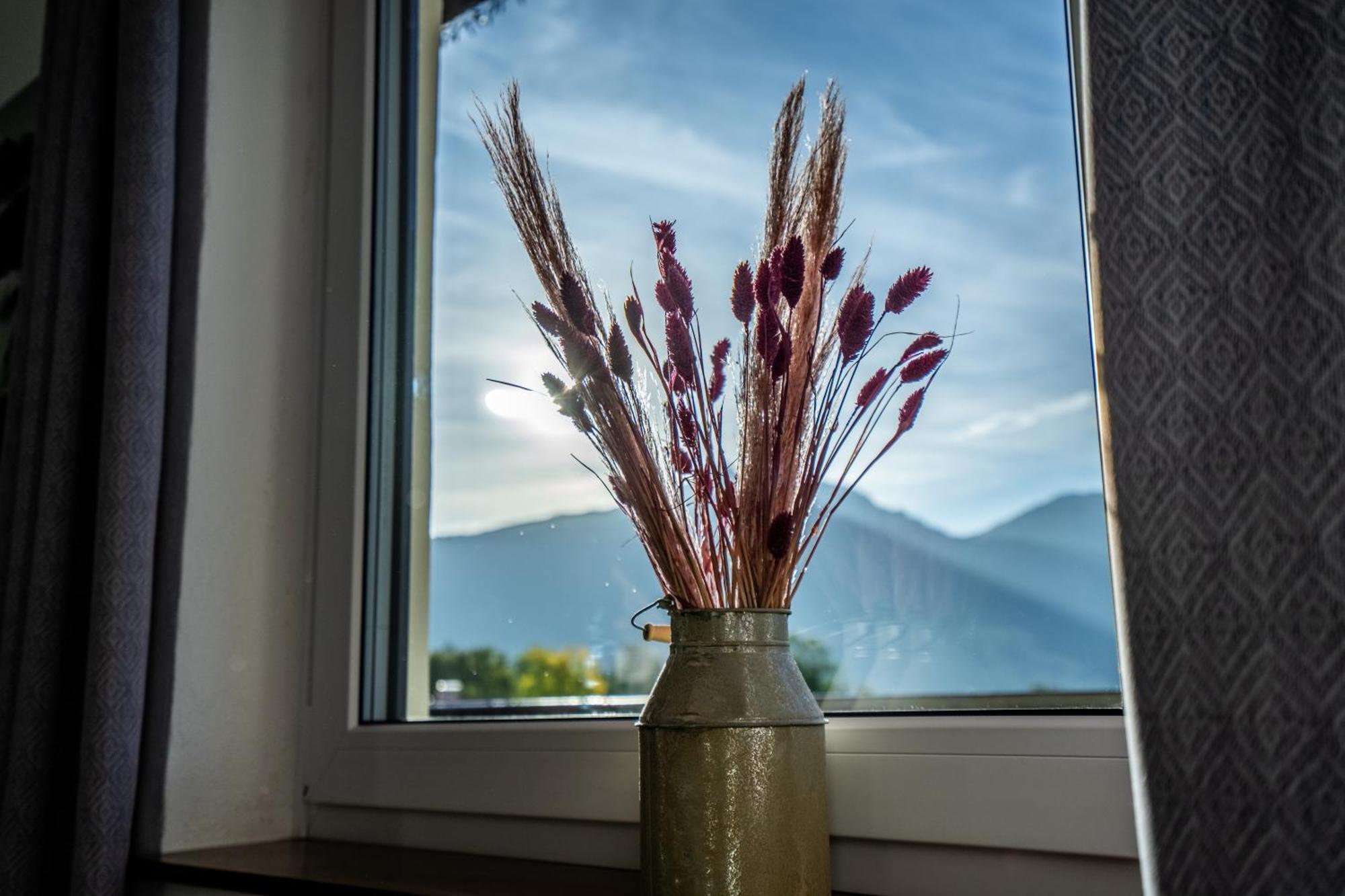 Tiroler Alpblick Appartements Ehrwald Exteriör bild